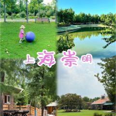 义远有机农场餐厅 User Photo