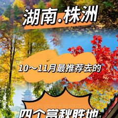 Old Kitchen User Photo