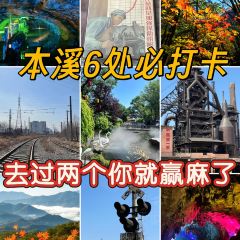 Number One User Photo