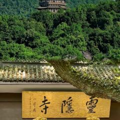 CONG BAO HUI User Photo