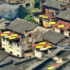 ZHU XIANG LOU User Photo