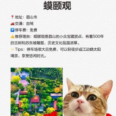 Zao Men Qian User Photo