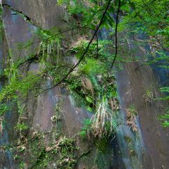 ZAI SHAN YE User Photo