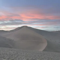 李广记杏皮茶 User Photo