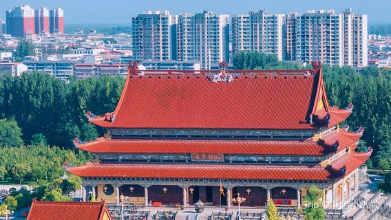 nan hai chan si - da xiong bao dian