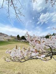 Omoriyama Park