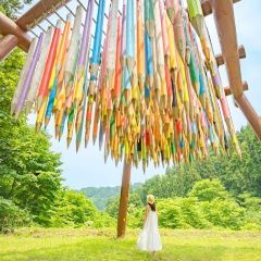 Sadoya User Photo