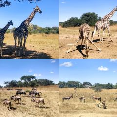 The Space Harare User Photo