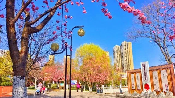 퉁시엔 공원