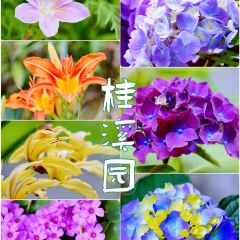 桂溪园·私房菜 User Photo
