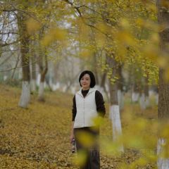 宝马生态农庄·柴火鸡(宝马店) User Photo