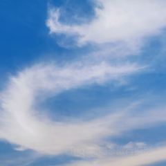 Jiahuabingwu (jinseguangchang) User Photo