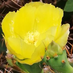 海南蓝湾绿城威斯汀度假酒店·西餐厅 User Photo