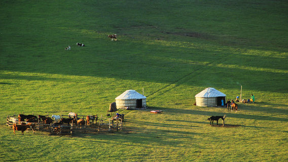 Gandan Camel City Nomadic Culture Scenic Area