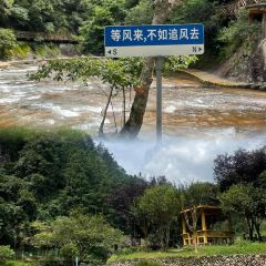 白水洋阿平土菜馆 User Photo