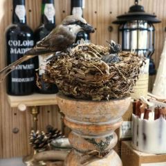 後浪咖啡 （延大店）張用戶圖片