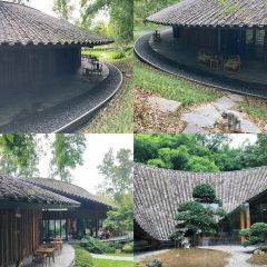 凡塔夕 User Photo