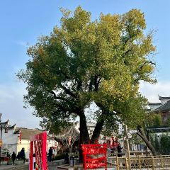 五弟嫂酒釀茶飲店張用戶圖片