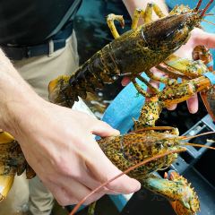 New Glasgow Lobster Supper User Photo