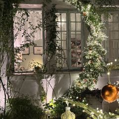 Cooperland User Photo