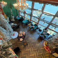 西弗空间 User Photo