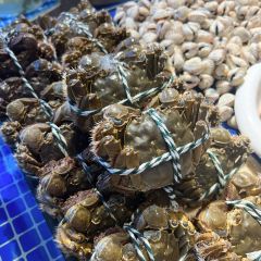 SHAO XING LAO WEI DAO User Photo