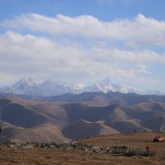 猫屎咖啡(天全服务区店) User Photo