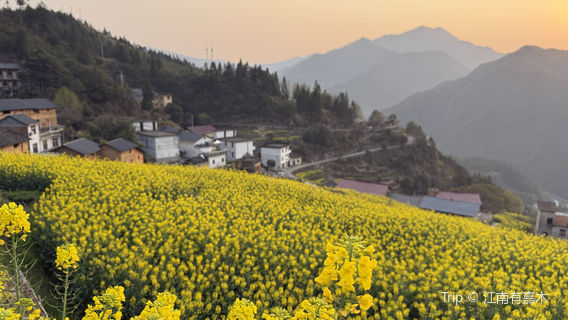 qi cai chang hong tai hui shan