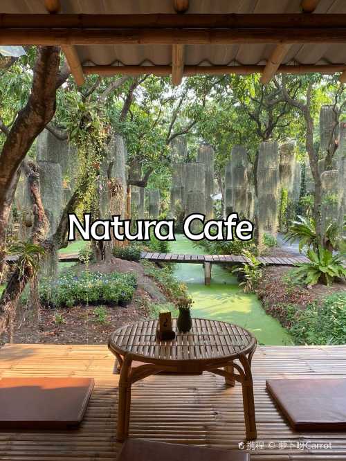 Natura Cafe