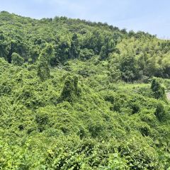 红岩多多 User Photo