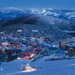 Tirol Café 여행 사진