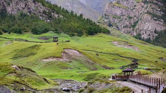 Xiaomuziduke Scenic Area