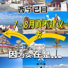 古城木橋牛肉麵張用戶圖片