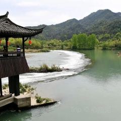 王景状元饼(英芳店) User Photo