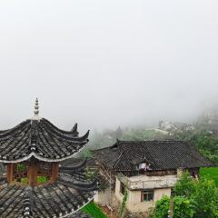一山树屋咖啡营地 User Photo