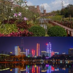 東莞燒鵝張用戶圖片