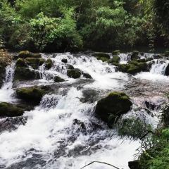 李大哥农家饭庄 User Photo