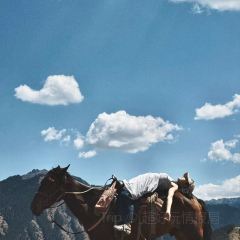 Shagou (miaopude) bishushanzhuang User Photo