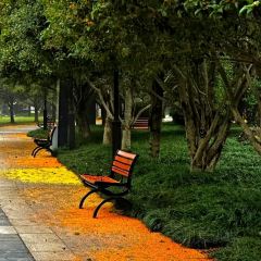 Do Do Do Porridge User Photo