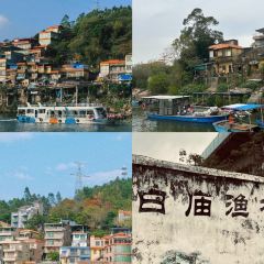 鸽皇餐厅·16年老字号·专业做鸽(东城店) User Photo