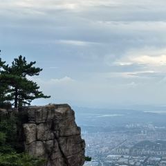 LAO ZHOU JI DAN BING User Photo