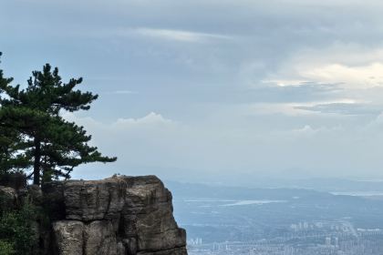 LAO ZHOU JI DAN BING