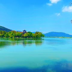 枇杷熟了coffee User Photo