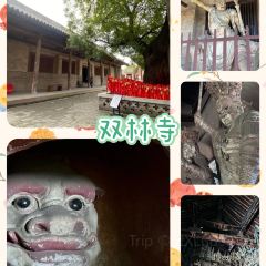 滨河食府(曙光东街店) User Photo