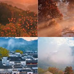 秀嫂挞粿 User Photo