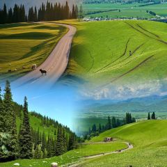 牧羊爷爷·新疆文化菜 User Photo