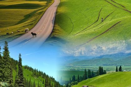 牧羊爷爷·新疆文化菜