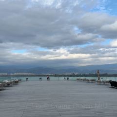 Black Swan Cafe User Photo