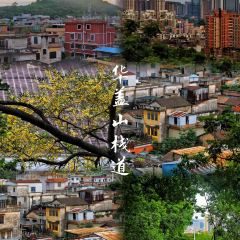 容边排骨饭 User Photo