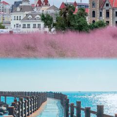 东升灌浆包(辛庄街总店) User Photo